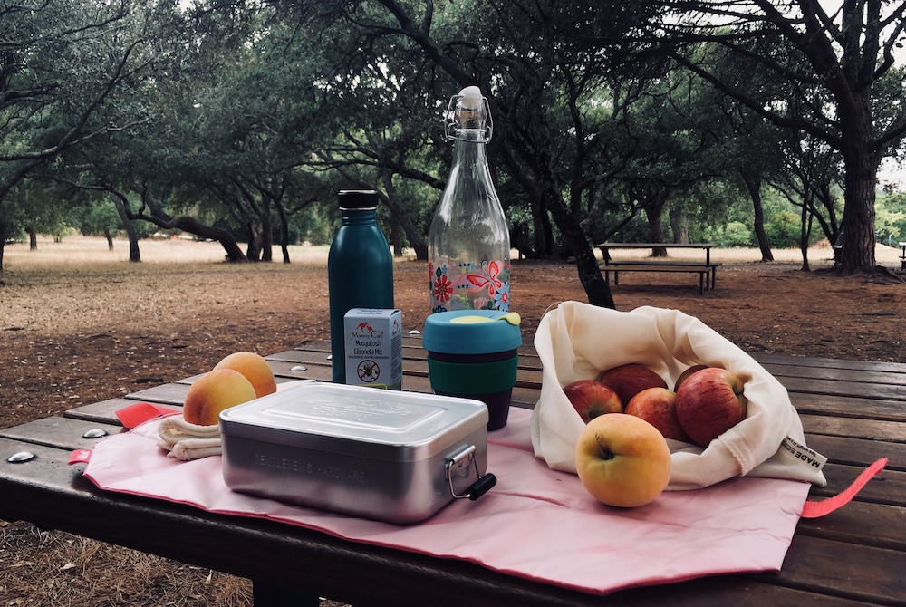 kit picnic